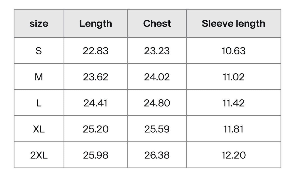 Irenic Valley Thrashed Tee
